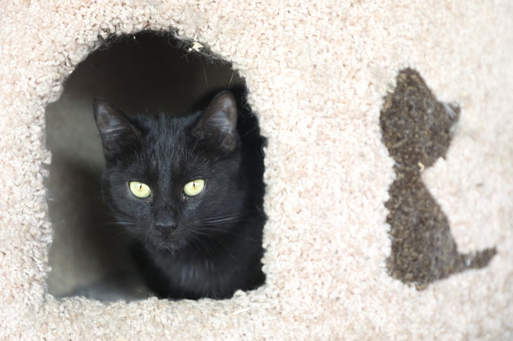 Народный календарь. Что принесет радость в ночь на осенние Кузьминки, 14 ноября