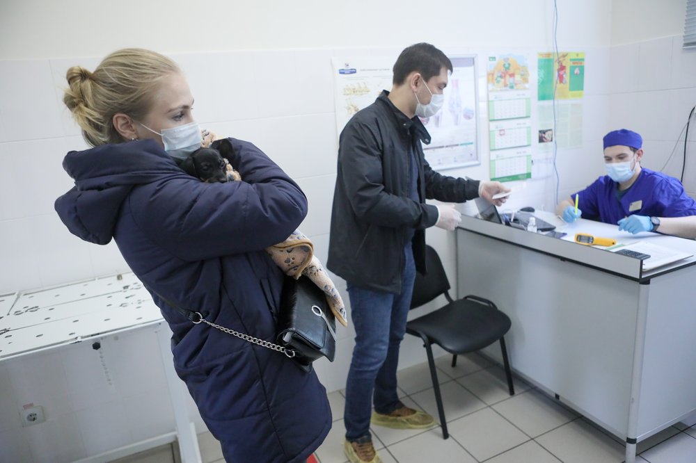 Собянин: Почти полмиллиона питомцев приняли госветклиники Москвы в 2024 году