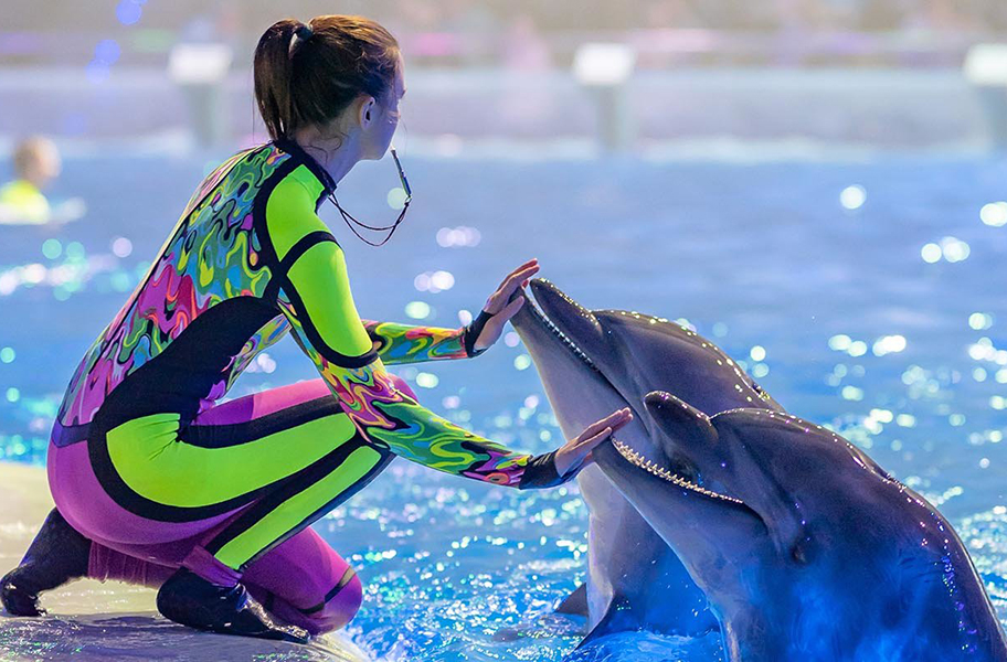 Видеопредставление с дельфинами подготовил «Москвариум» ко Дню океанов