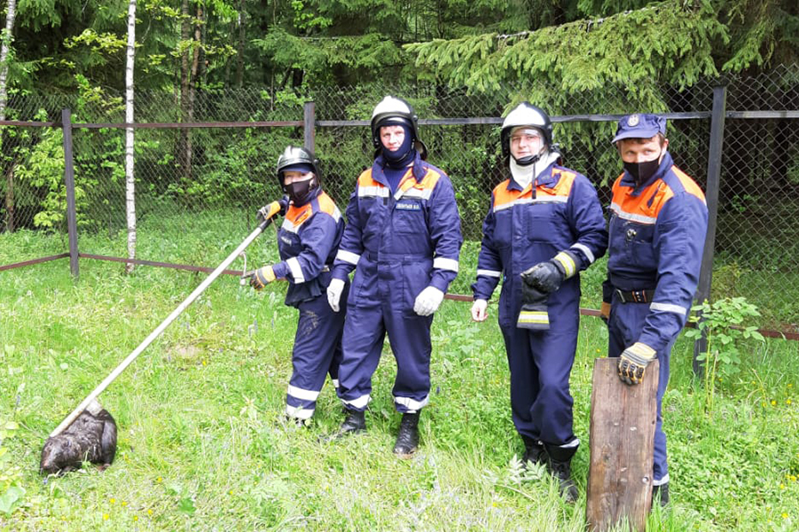 В Подмосковье обезвредили снаряд времен войны