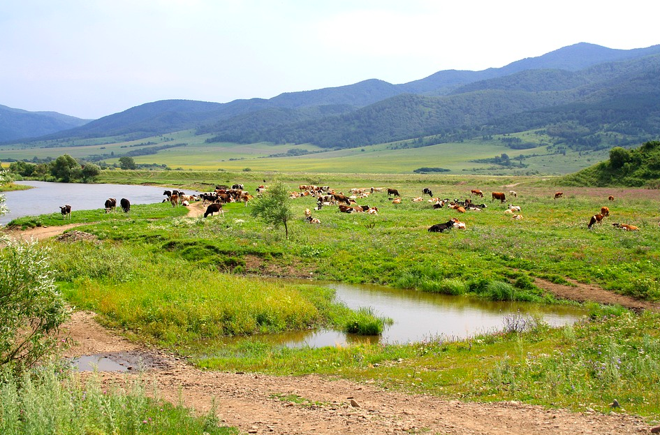 Власти Алтайского края объявили о первом этапе снятия ограничительных мер