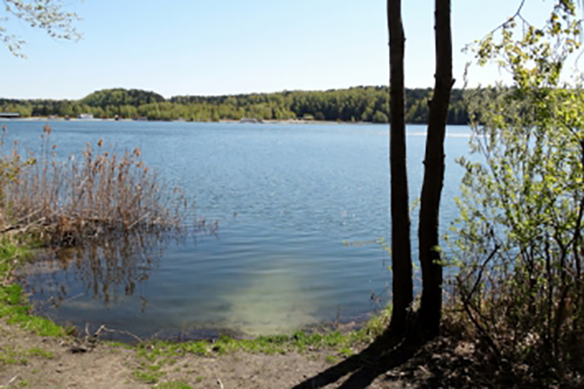 Школьник утонул в подмосковном карьере