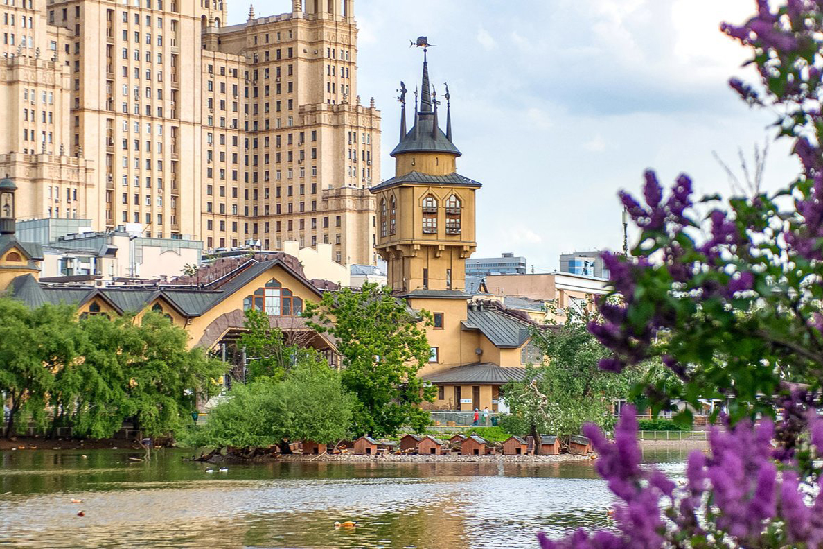 «Наша эквилибристка»: Московский зоопарк показал, как гиббон Лиза спешит в домик