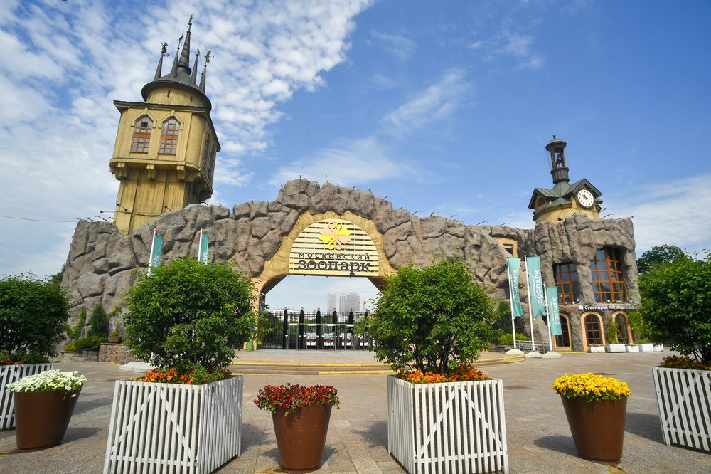 Детеныши джейрана родились в Московском зоопарке