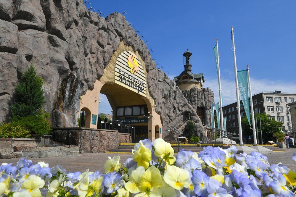 Дополнительный вход открыли в Московском зоопарке