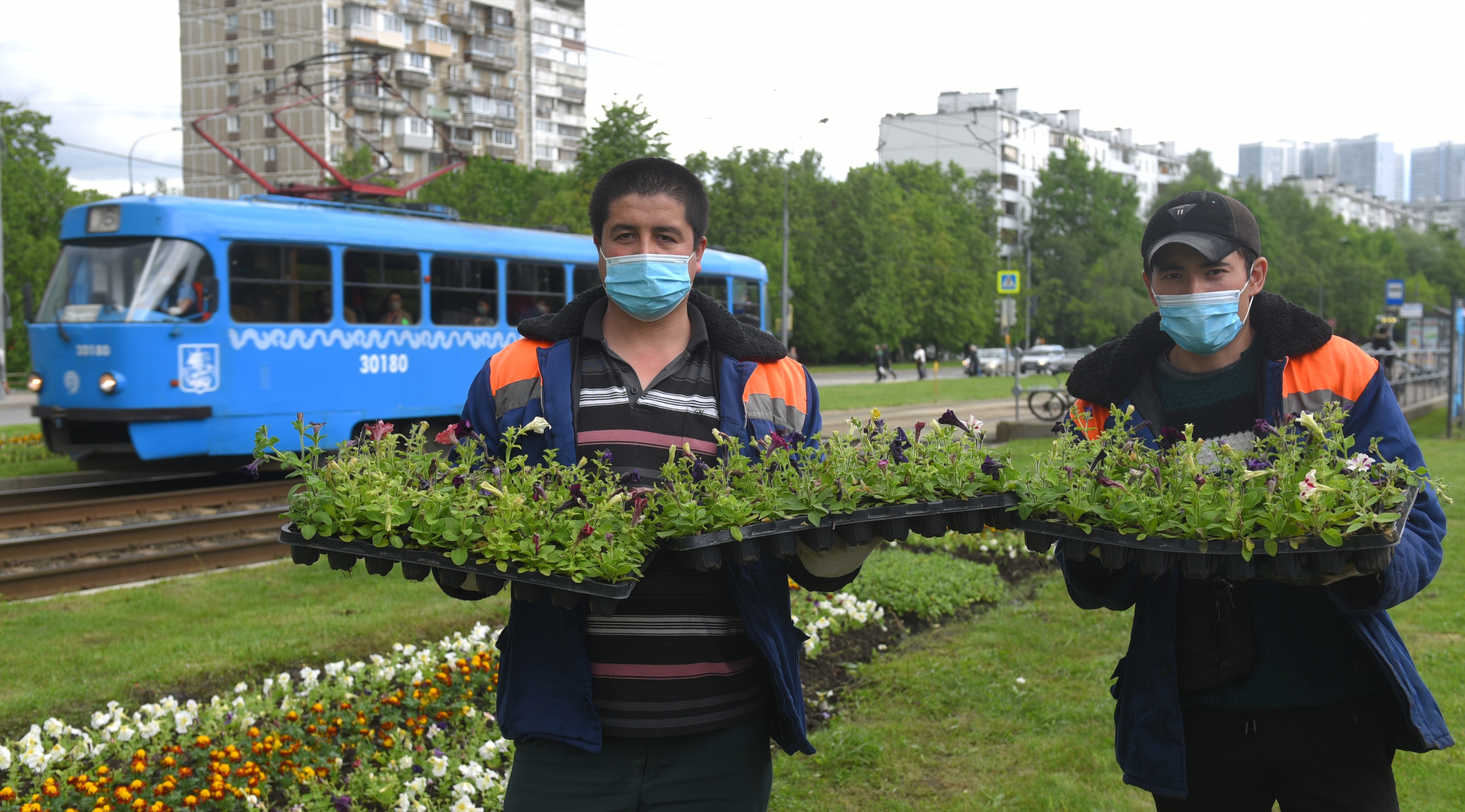 Сотрудники ГБУ «Жилищник района Чертаново Северное» Темур Каримов и Алишер Рустамов (слева направо) высаживают цветы на клумбе вдоль Чертановской улицы