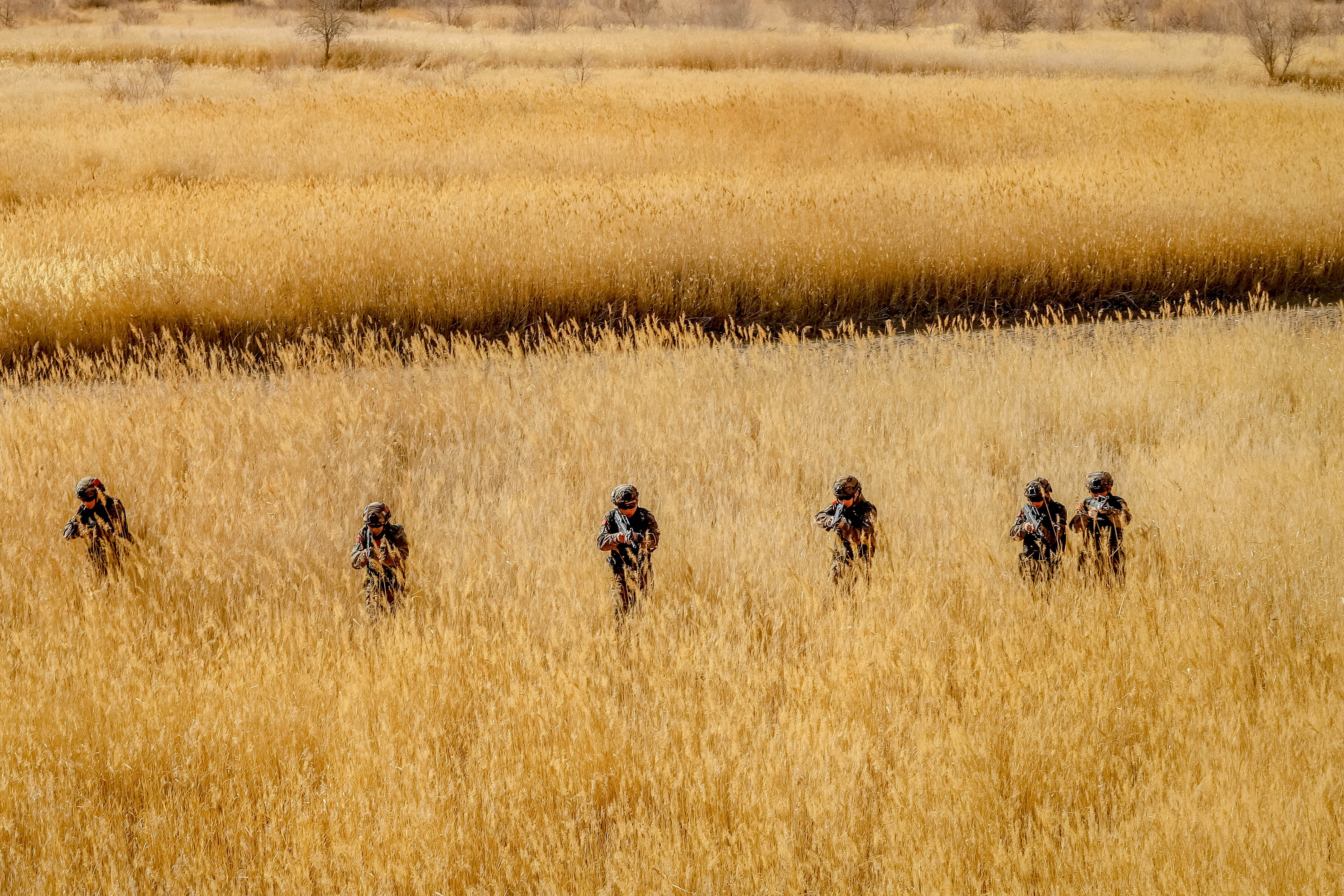 Индия отказалась от участия в военных учениях «Кавказ-2020» в России