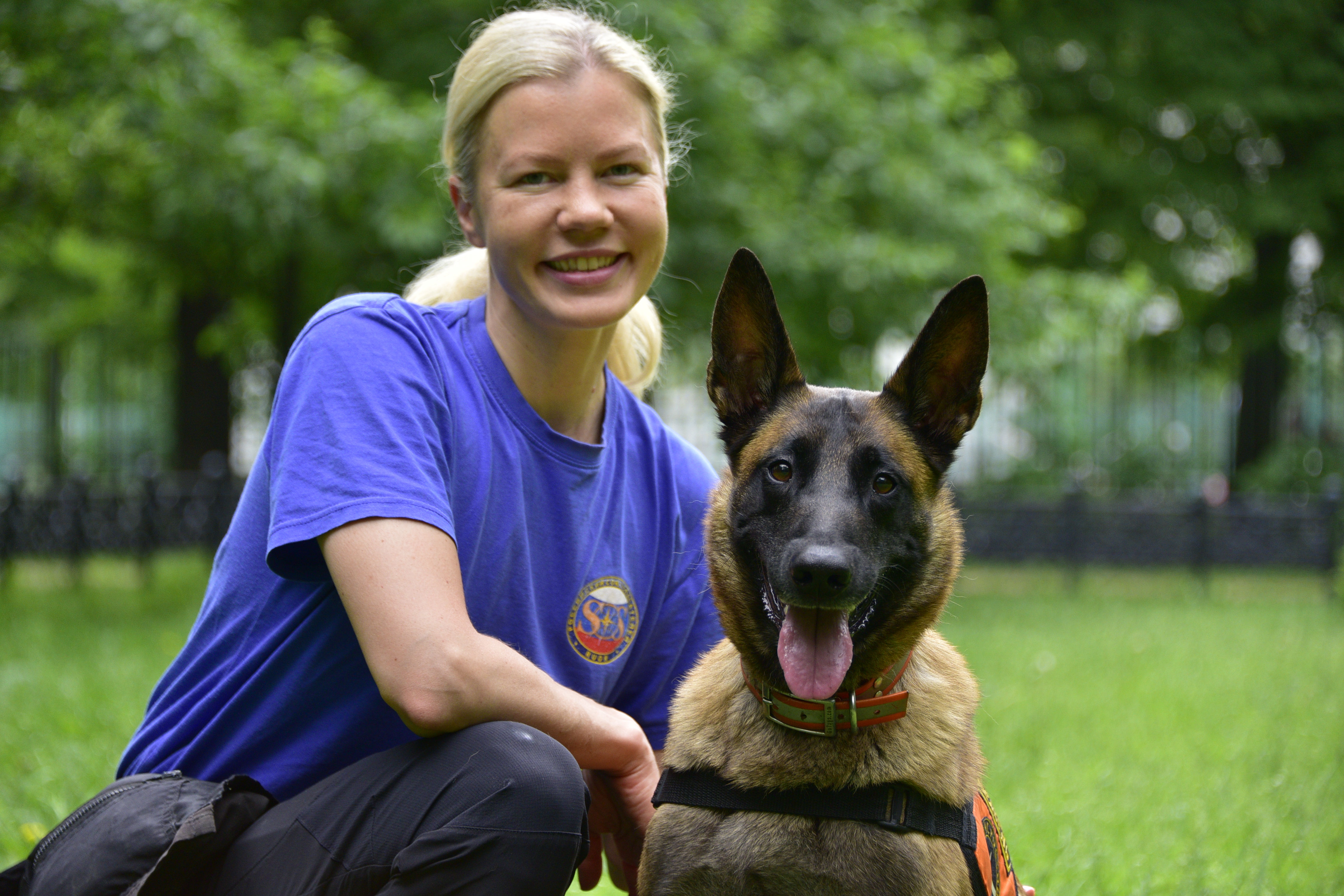 Какие цвета видят собаки