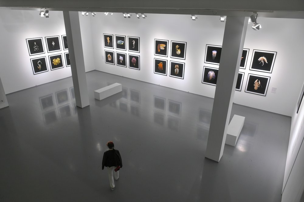 Подборки помещений для мероприятий появились в сервисе «Вместе с культурой»