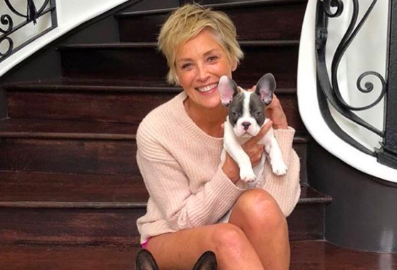 Шэрон Стоун показала свое архивное фото и удивила фанатов