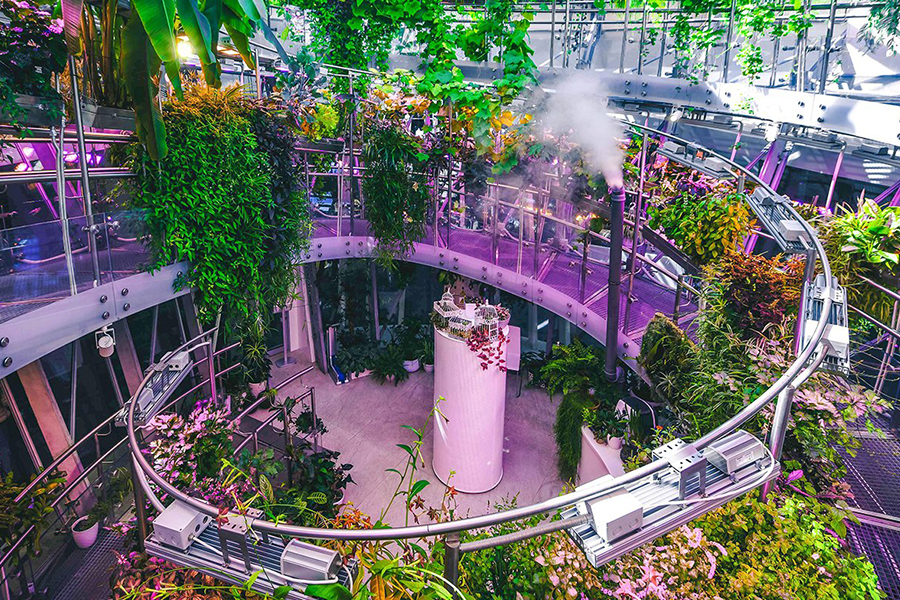 В парке «Зарядье» открылась экспозиция «Флорариум. Маршрут Россия»