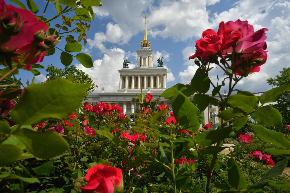 Исторический розарий воссоздали на ВДНХ