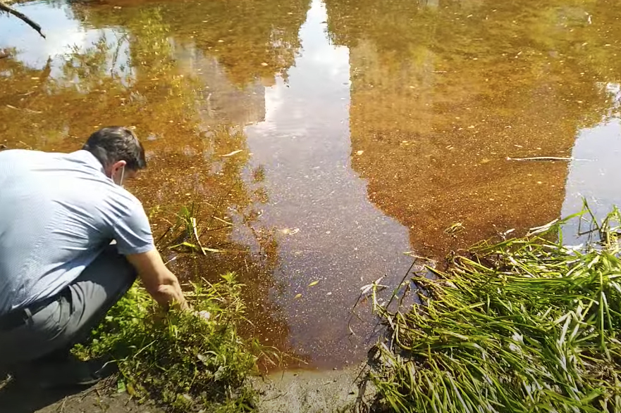 Сотрудники Роспотребнадзора взяли пробы воды из Химкинского водохранилища
