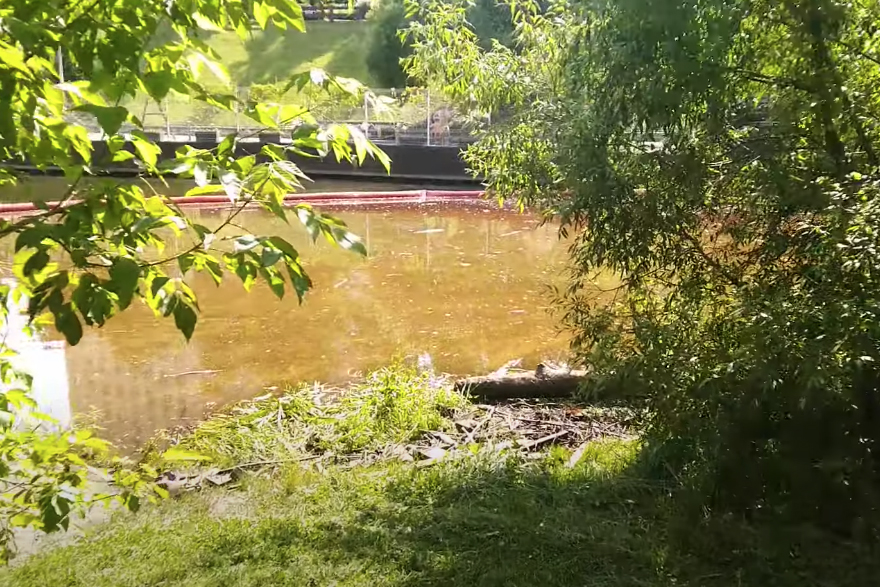 Названа причина утечки нефтепродуктов в Химкинское водохранилище