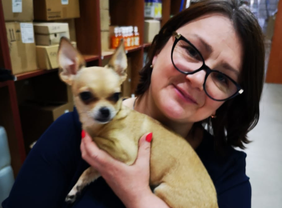 Сотрудники Московского авиацентра вернули спасенную собаку хозяину