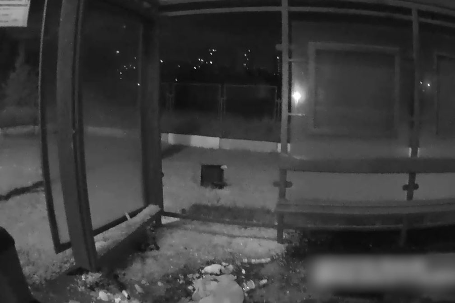 Росгвардейцы задержали пьяную компанию, разбившую остановку в Москве