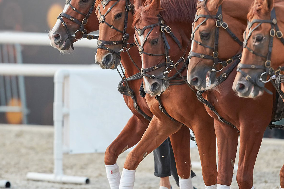 Украинская всадница Васильева сменит спортивное гражданство на российское