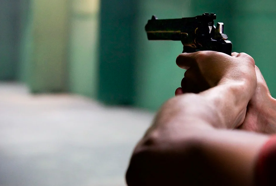 У защищавшей от вандалов дом пары отобрали оружие в США