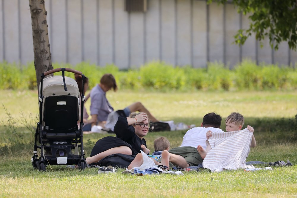 Проект «Европейский пикник» стартовал в парках Московской области