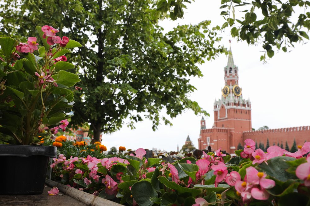 «Аллергия предсказуема»: москвичей предупредили о «выбросе пыльцы» в мае