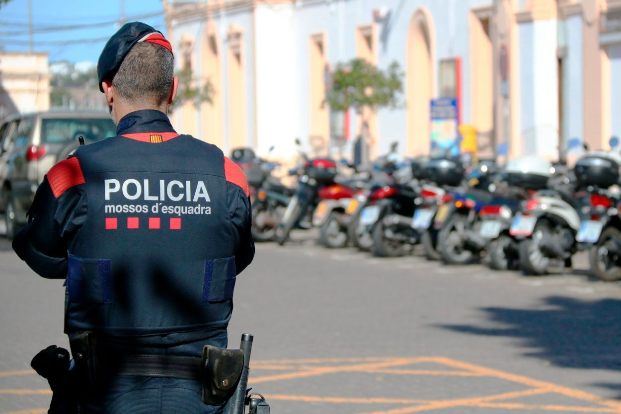 Полиция Испании изъяла посылки с глазами животных для дипмиссий Украины