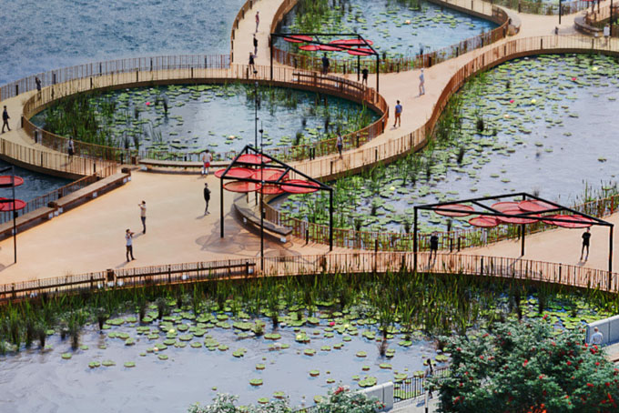 Сад на воде появится у набережной Марка Шагала в Москве