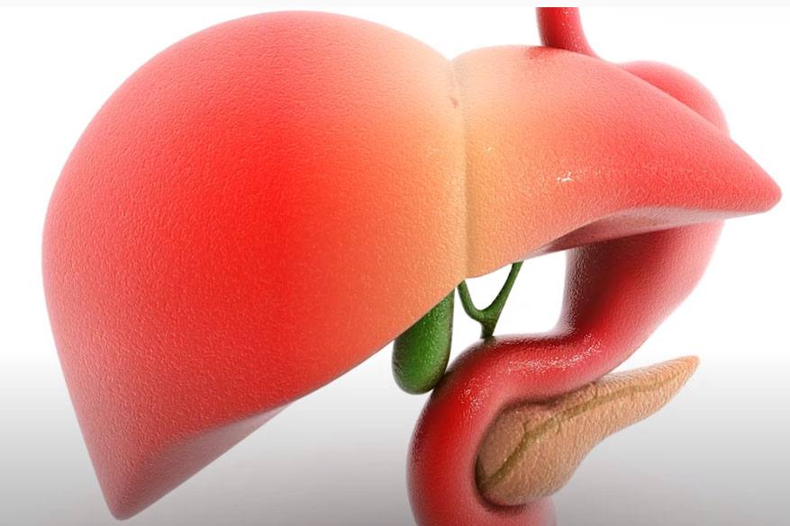 Ученые рассказали, как по языку определить состояние внутренних органов