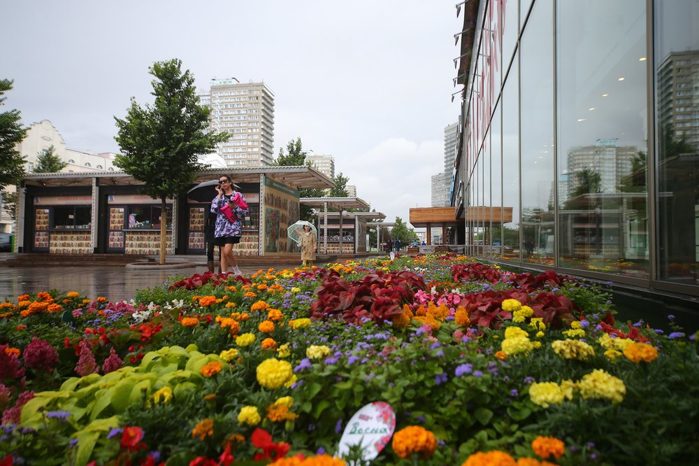 Более ста сортов многолетних растений высадят в Москве осенью