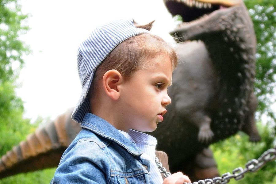 Москвич Артем Бабинцев на экскурсии в Динопарке рассматривает «ожившие» фигуры древних динозавров