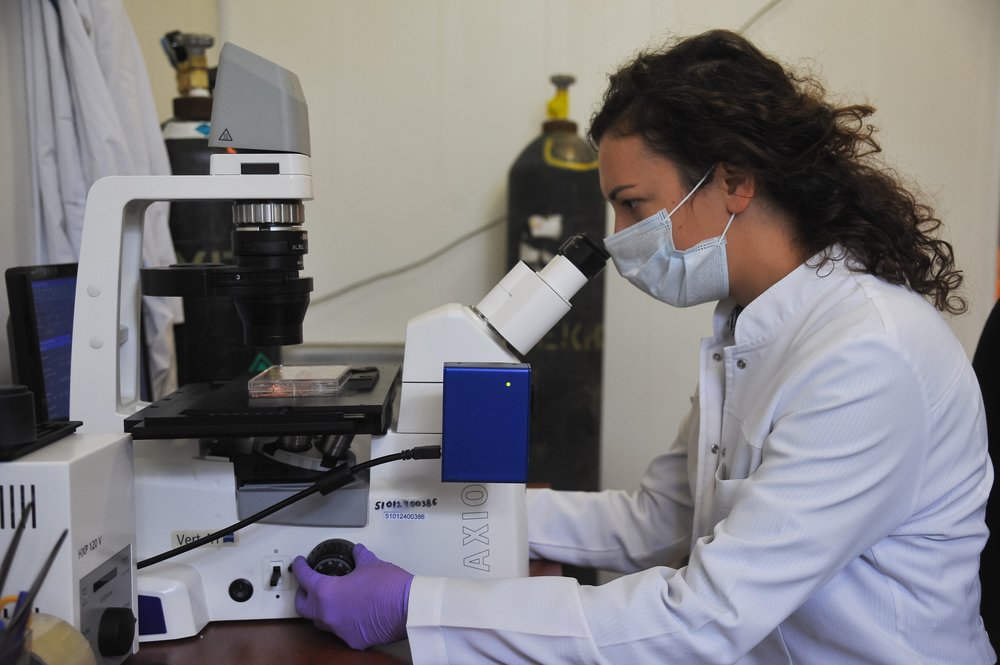 Финансирование научных исследований увеличат в образовательных учреждениях РФ