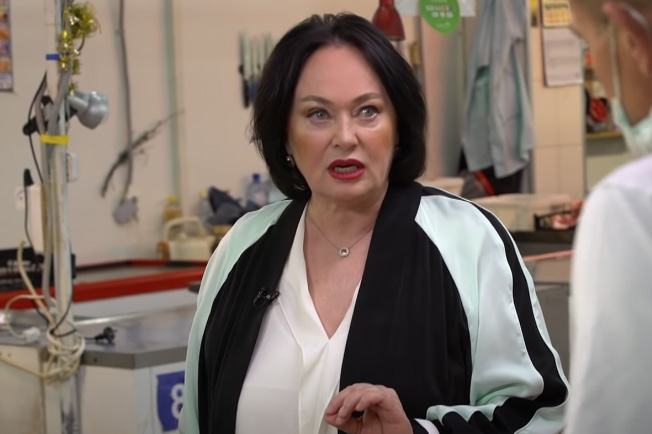 «Я отвечаю только за себя»: Гузеева раскритиковала обманутых мошенниками подписчиков