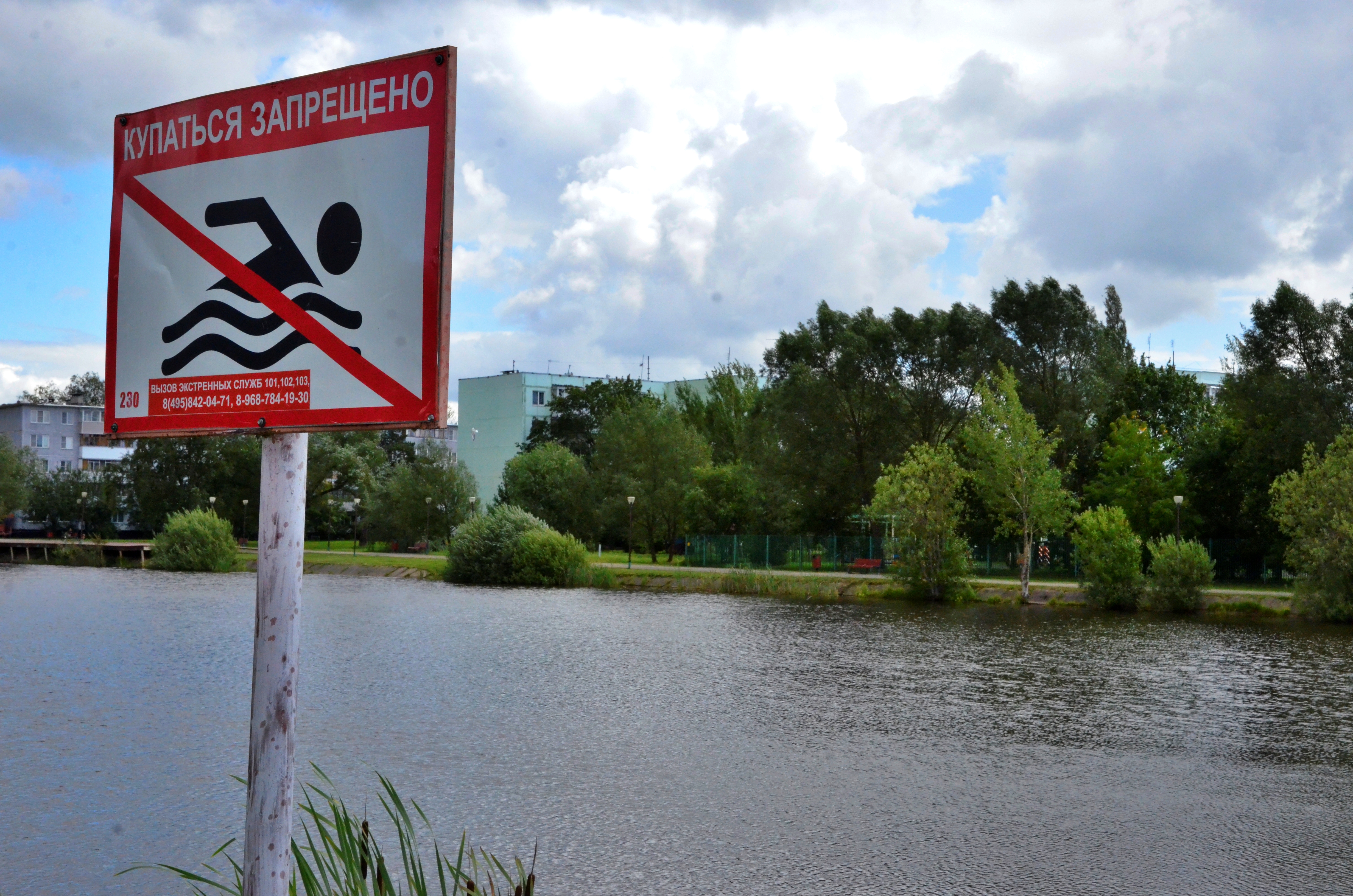 Роспотребнадзор запретил купание в зоне отдыха «Левобережье» на севере Москвы