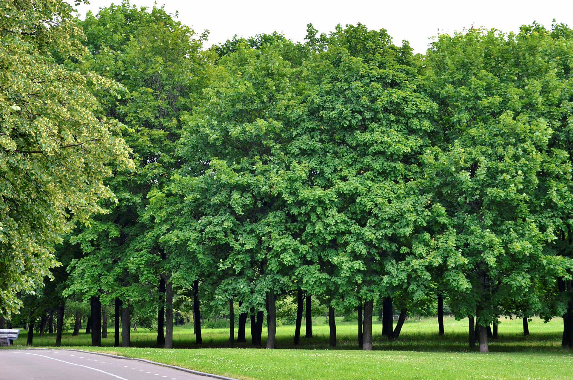 Эксперты отметили лучшие экологические инициативы корпораций