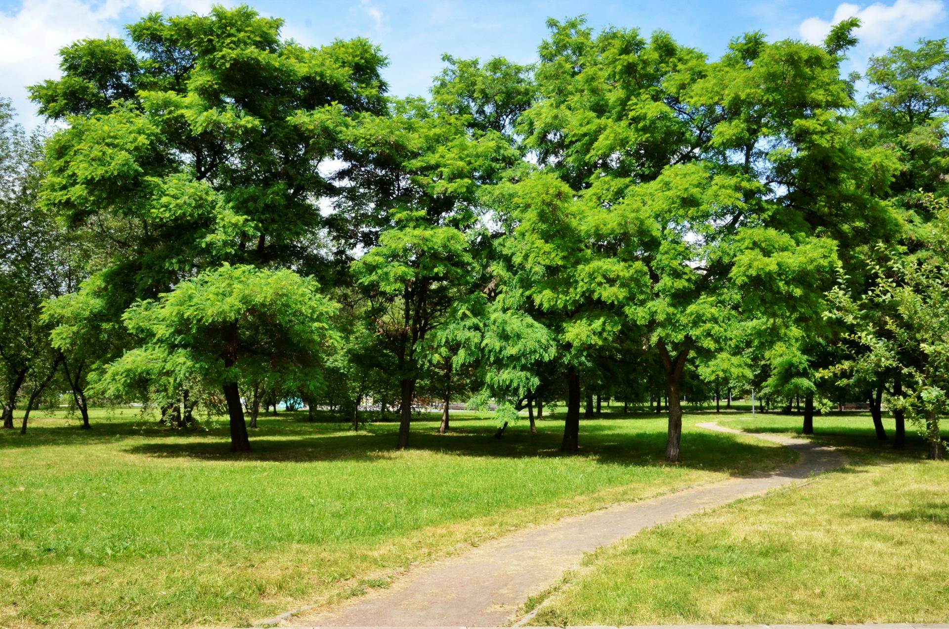 Россияне оценили экологическую обстановку в своих городах 