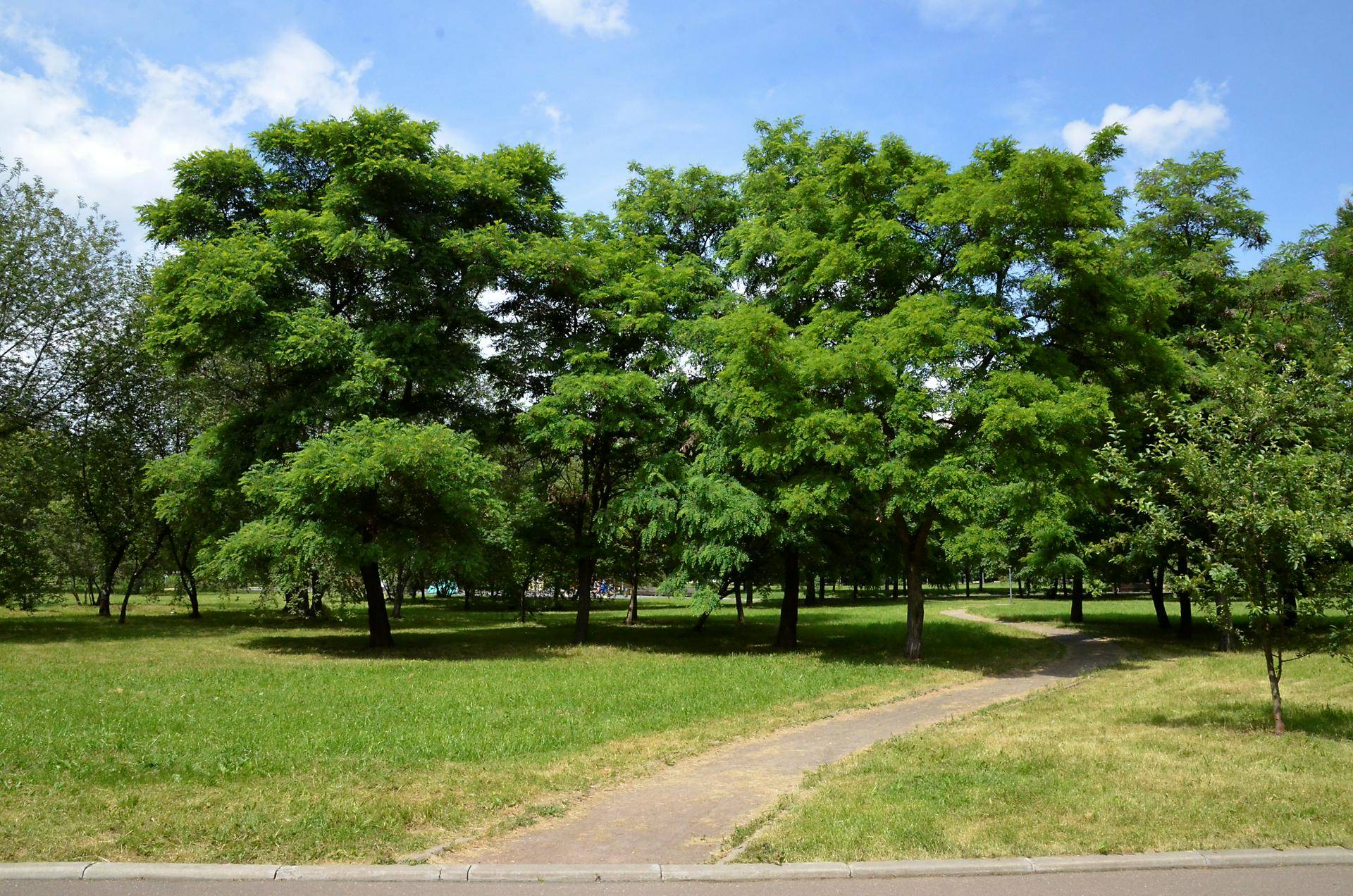 Начался прием заявок на участие в экологических премиях правительства Москвы