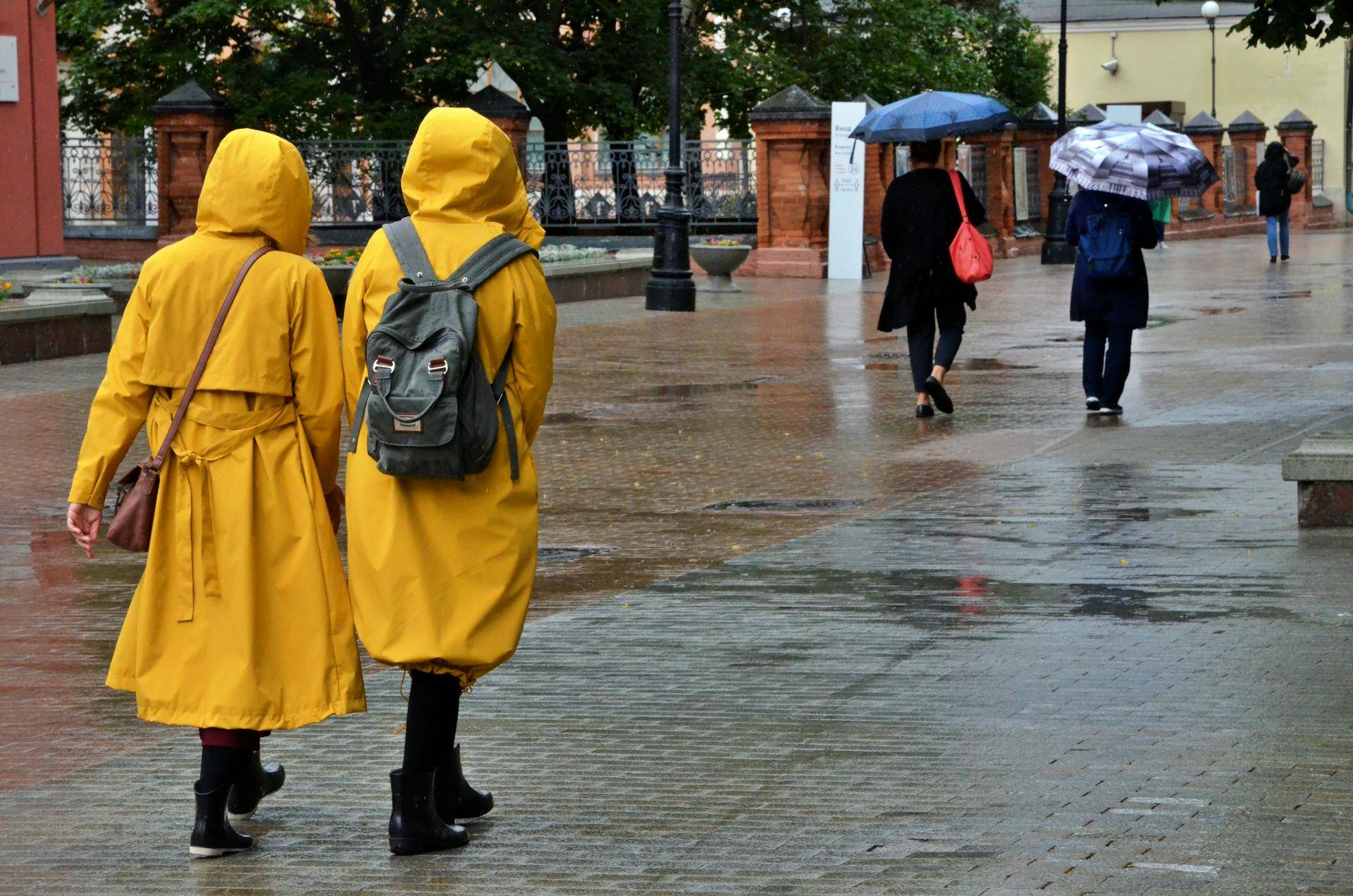 Жителей Подмосковья предупредили о грозе и сильном ветре 