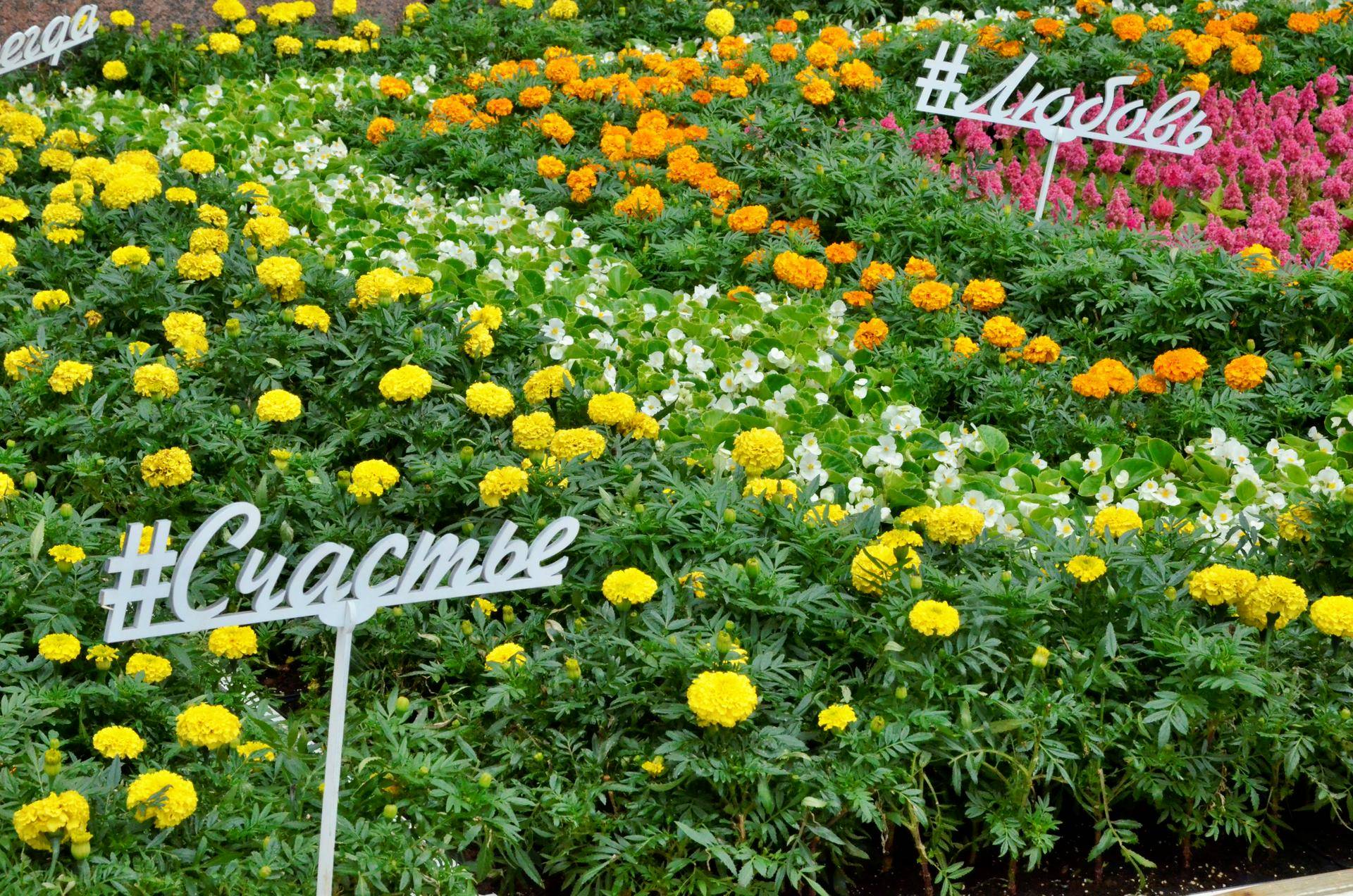 ГУМ позвал москвичей на Фестиваль цветов