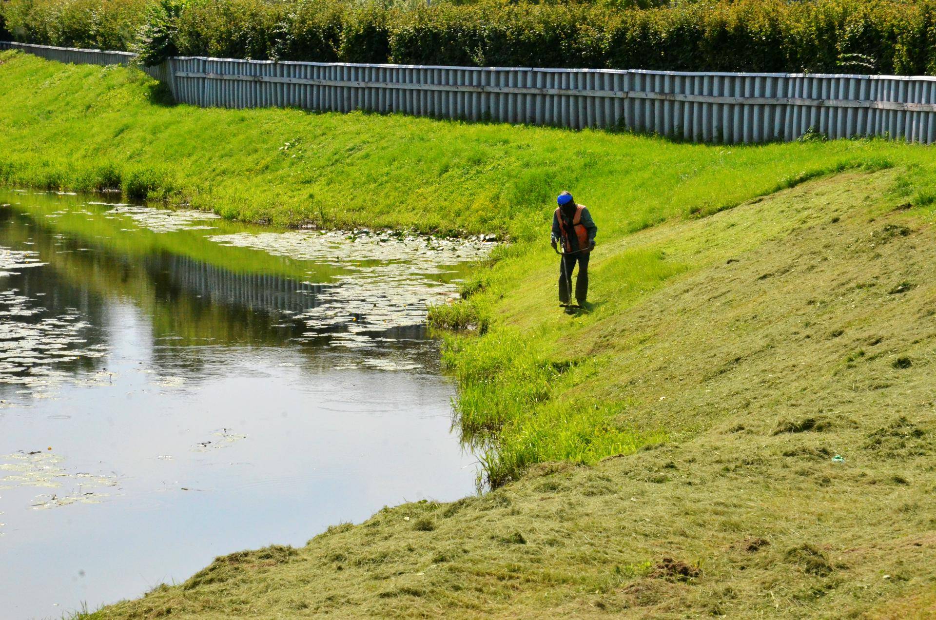 Юрист назвал излишним оповещение семей владельцев о возможной потере участка