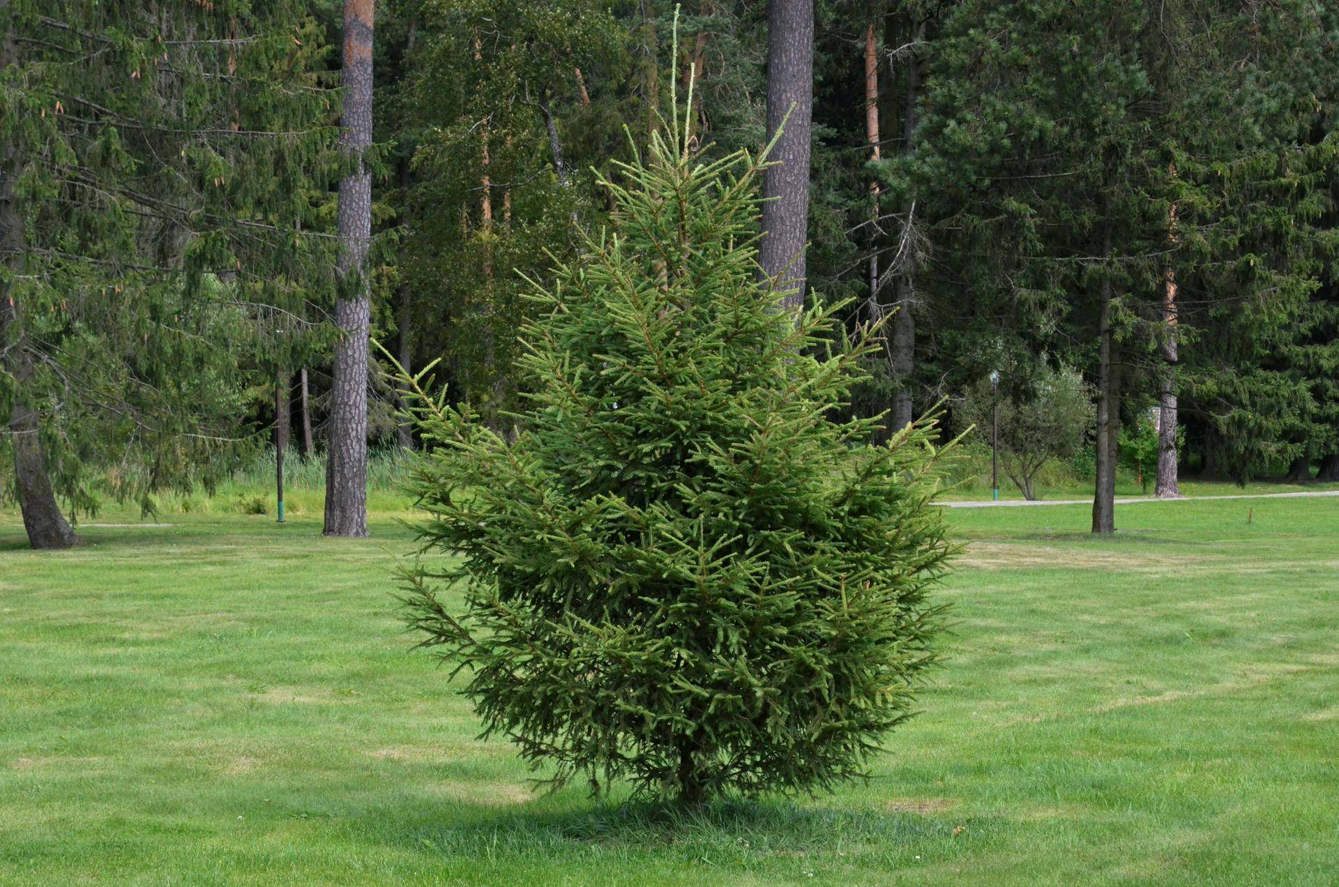 В Культурном центре ЗИЛ пройдет экофестиваль «оЗИЛеняйся»
