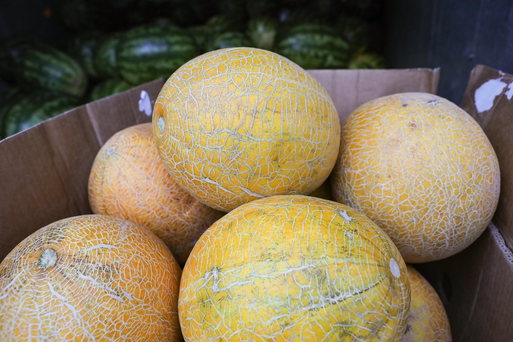 Стали известны средние цены на арбузы и дыни в Подмосковье
