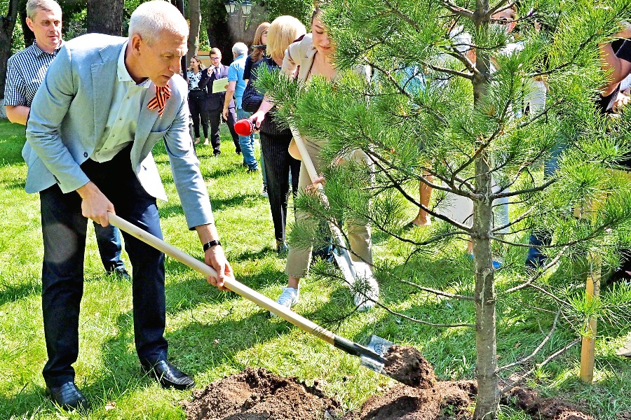 Министр спорта России Олег Матыцин высаживает кедр имени боксера Николая Королева