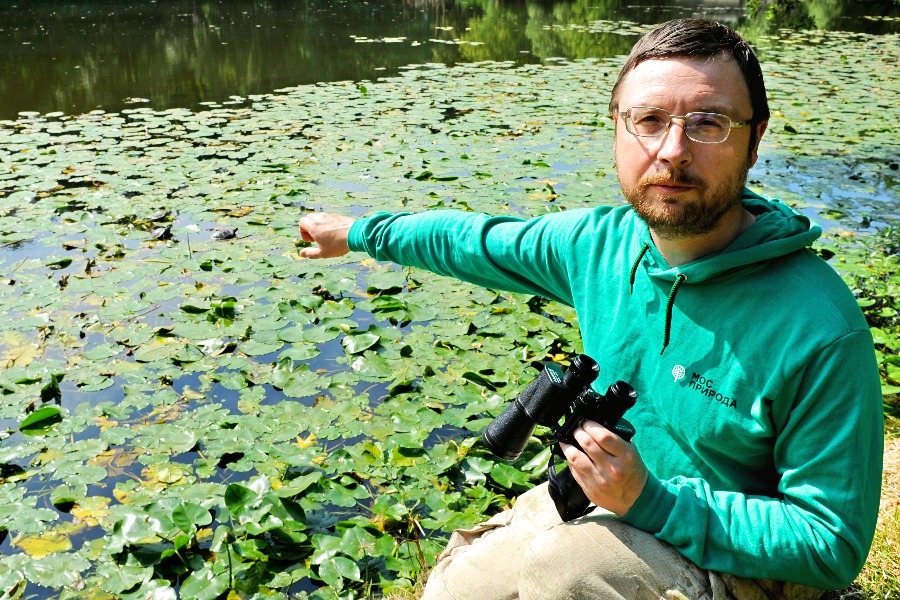 Методист Мосприроды Виктор Путилов показывает черепах на Нижнем Кузьминском пруду