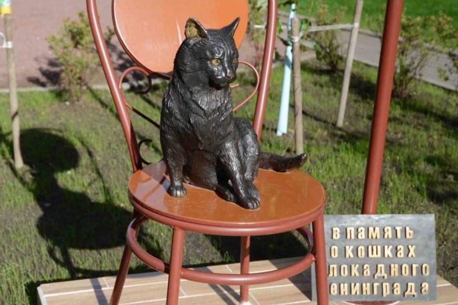 Музей Победы в Красногорске рассказал о службе котов в годы войны