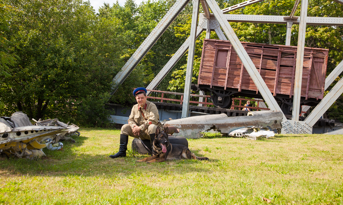 Музей Победы отметит День фронтовой собаки экскурсиями и мастер-классами