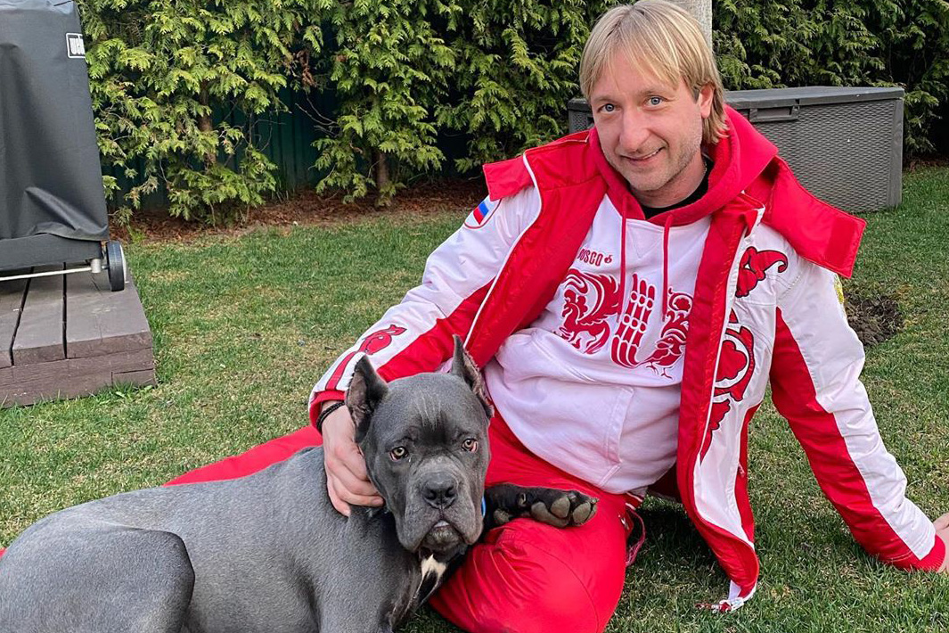 «Оторваны от реальности»: Плющенко осудили за покупку дорогого автомобиля