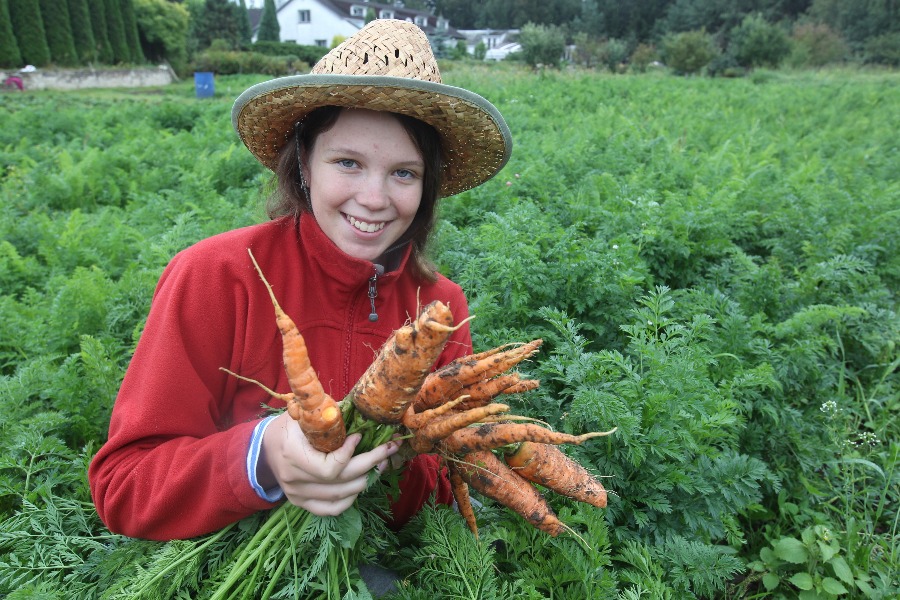 Юный овощевод Ксения Розанова показывает морковь, которую в этом году они вместе с мамой и папой вырастили в своем семейном фермерском хозяйстве в Новой Москве