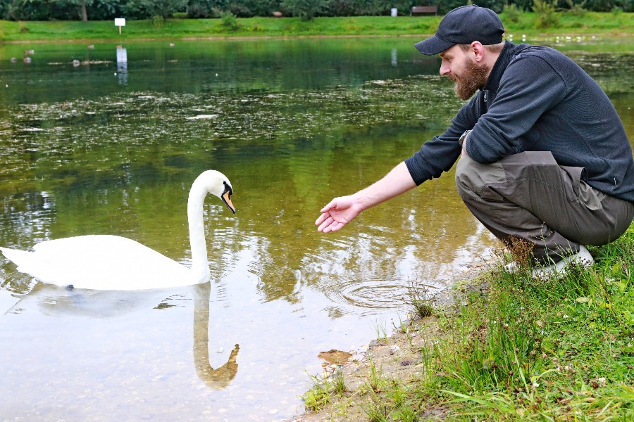 Орнитолог Антон Бокарев общается с Дусей. Оказалось, это самец, но к своей кличке он уже привык