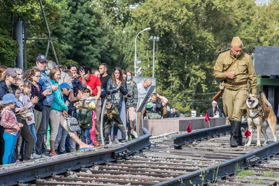 Около 2,5 тысячи человек отметили День фронтовой собаки в Музее Победы
