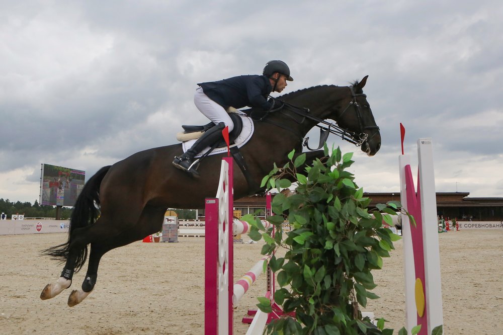Соревнования по конкуру пройдут на ВДНХ в эти выходные