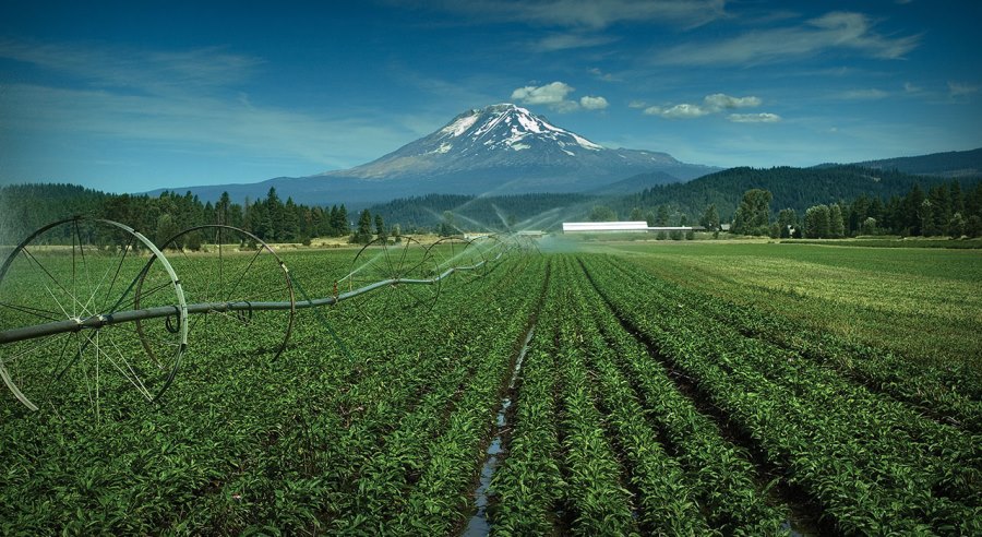 Бренд NUTRILITE™ рассказал, как осуществляется контроль качества продукции